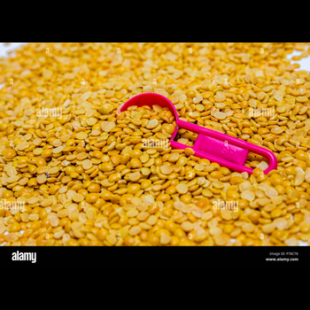 துவரம் பருப்பு  500g