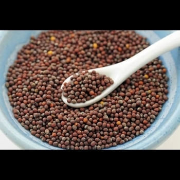 கடுகு கலப்பு 100g